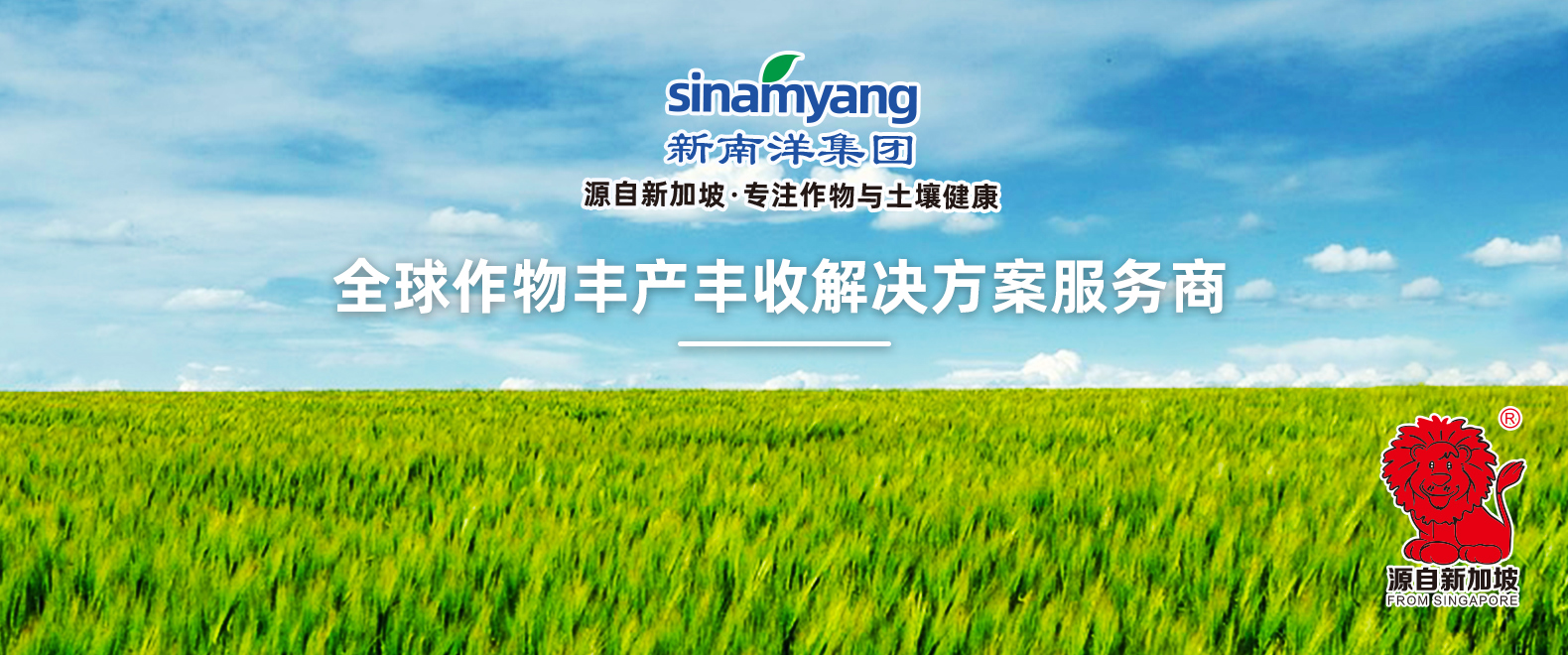 新加坡新南洋集团私人有限公司