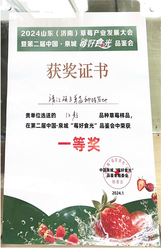 喜讯！靖江马桥草莓基地“红颜”草莓荣获一等奖！