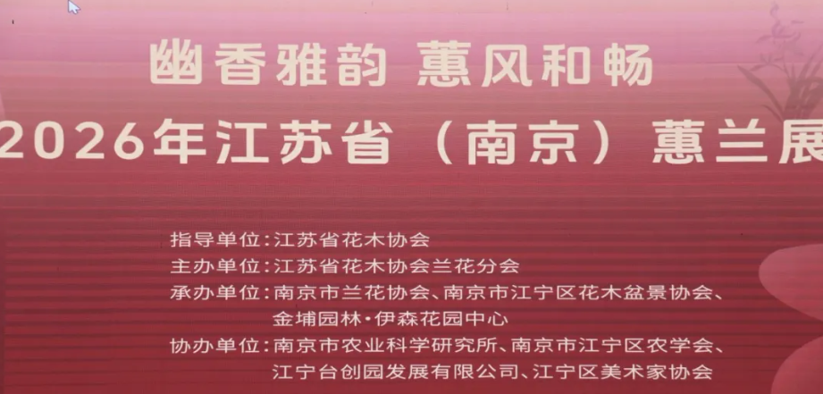兰韵金陵，乐苑「金岙素」雅动全城！