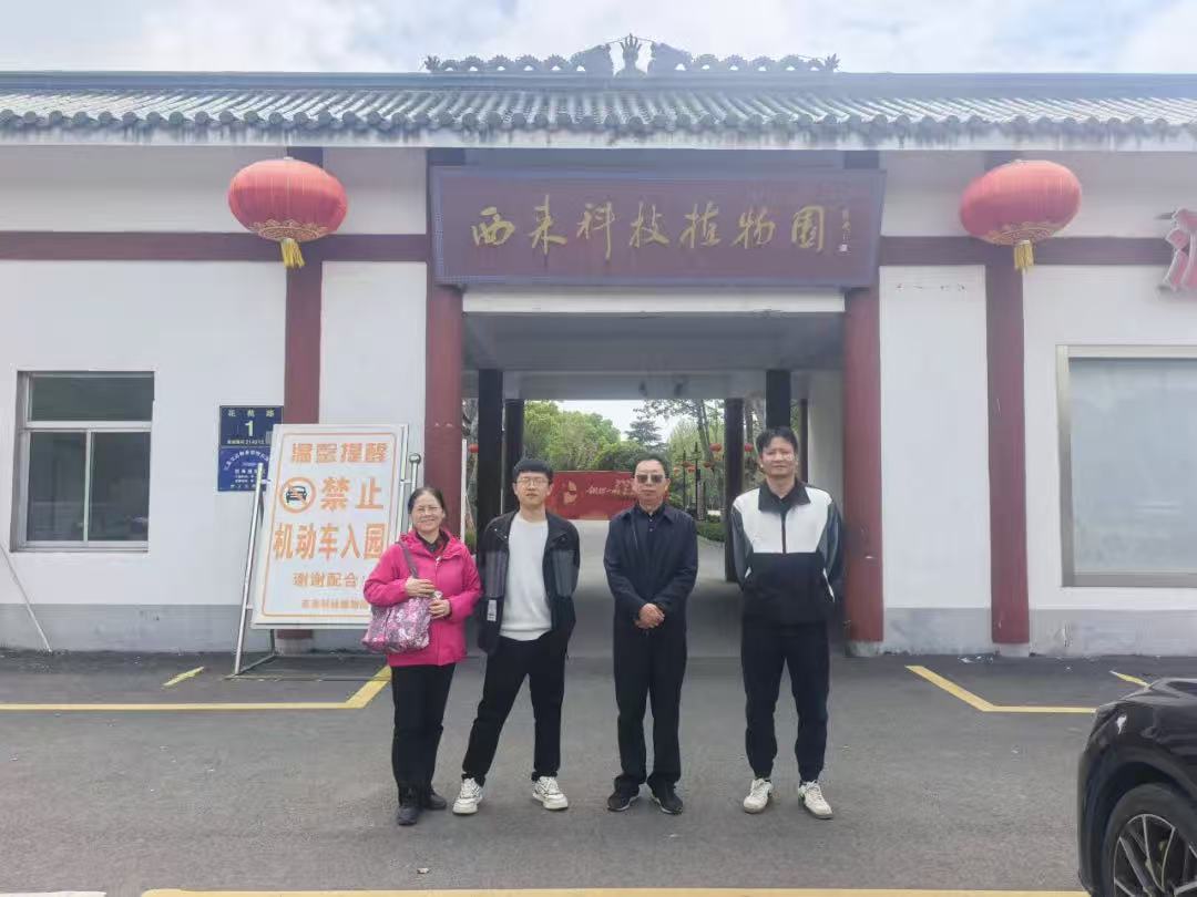 春日赴约，乐享风情——新南洋集团开展“三月三”靖江民俗团建活动