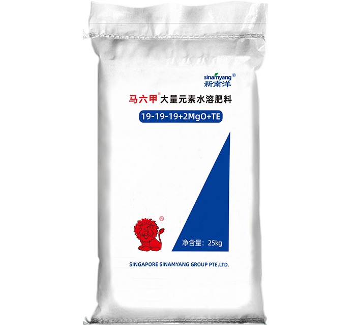 马六甲19-19-19+2MgO+TE