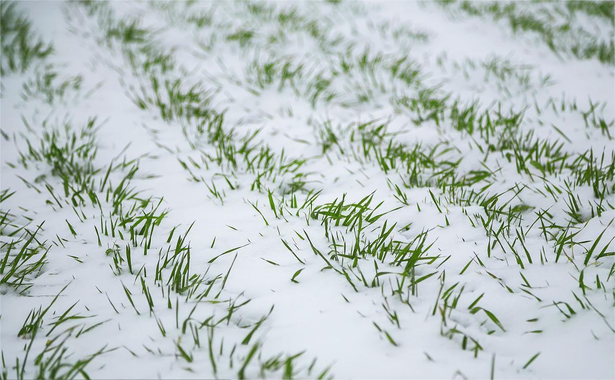 二十四节气——冬至