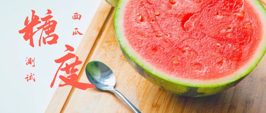 试验田西瓜糖度实测