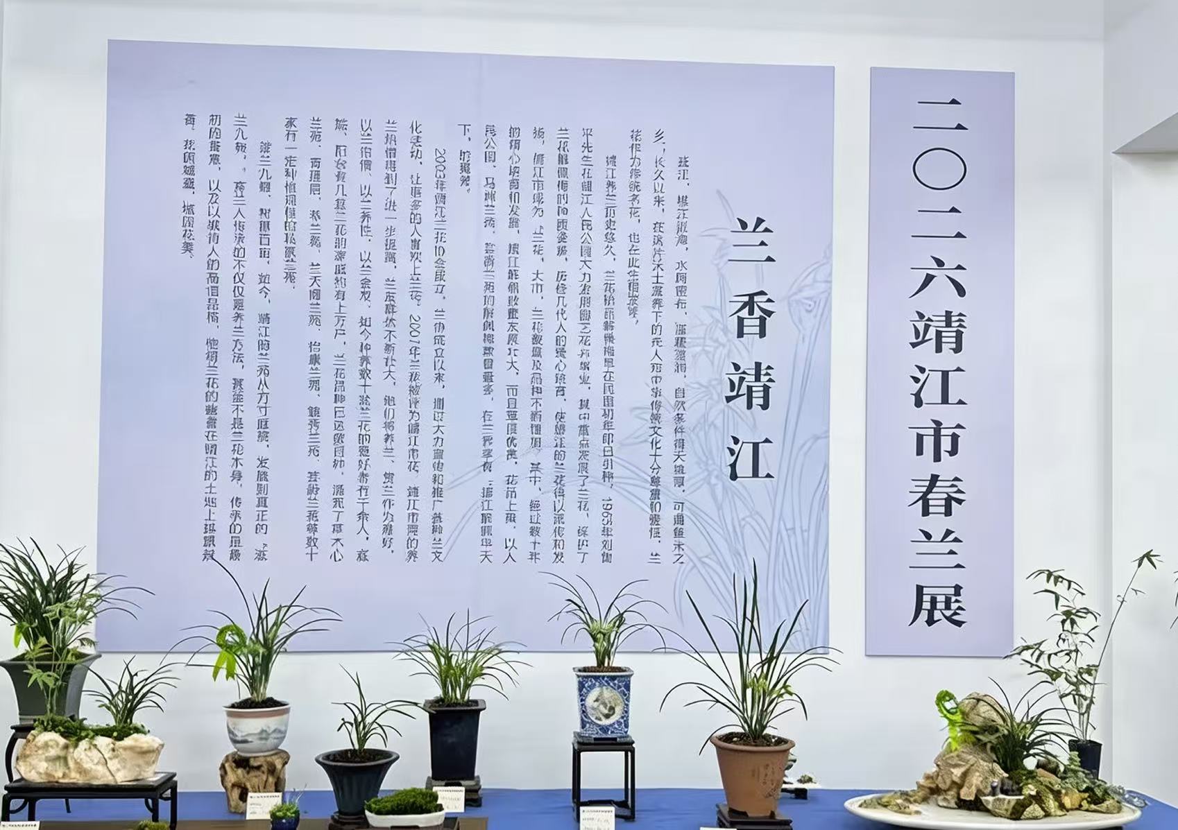 逛人民公园兰展，选乐苑园艺养兰肥，养出高颜值爱兰